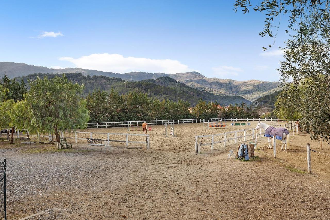 Messalina Agriturismo La Scuderia Molino Nuovo  Kültér fotó